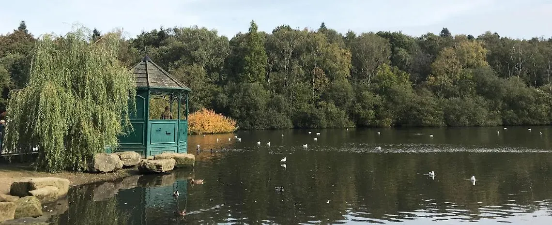 Home Leeds  Kwatera prywatna Leeds (West Yorkshire)